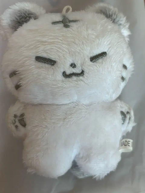 Seventeen Hoshi Hochi