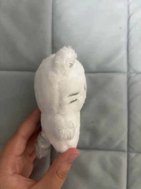 Seventeen Hoshi Hochi Transfer