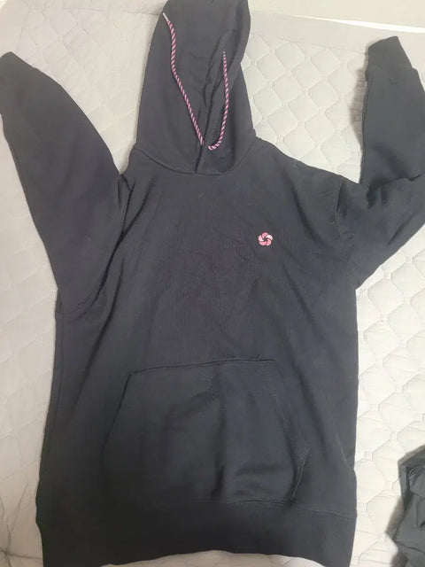 Return of the Mount Hua Sect Hoodie