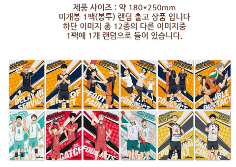 Haikyu!! Clear Art Board Bundle