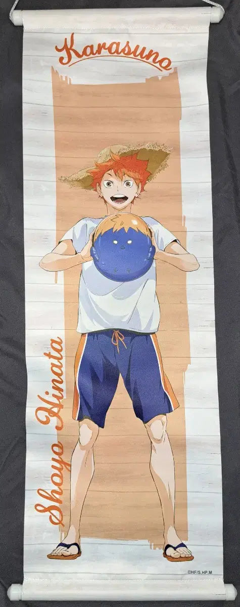Haikyuu Hinata Stationery Cafe Collaboration Tapestry