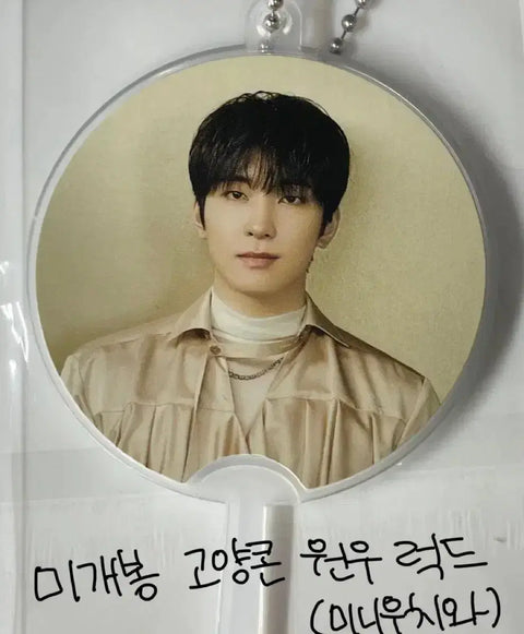 Seventeen Wonwoo Gocheok Dome Concert Mini Uchiwa Lucky Draw