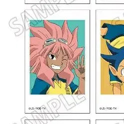 Inazuma Eleven Mini Photo Card Collection