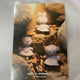 Gyeongju Miffy Postcard Set