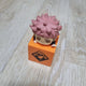 Jujutsu Kaisen Sleeping Figure Set