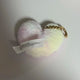 BT21 Rainbow Flat Fur Bag Charm Keyring Tata