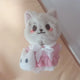 NCT NCT Dream Renmyang Renjun idol doll