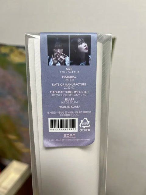 IU Moment Poster