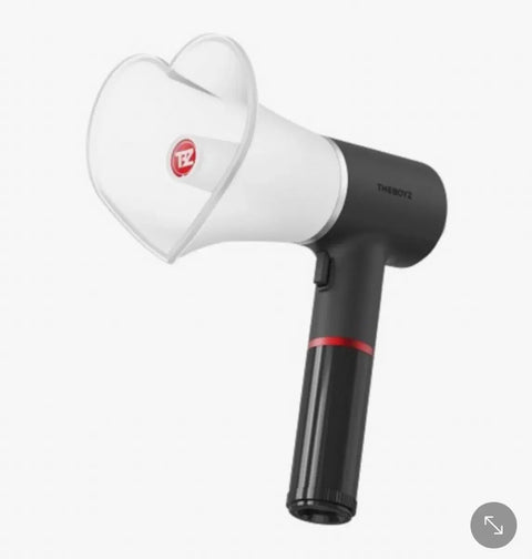 The Boyz light stick
