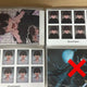Kaiju No. 8 Hoshina Narumi Printing Box Photo Booth ID Photos, selling all together.