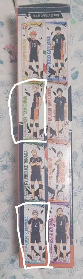 Haikyu!! Character Posing Collection Vol. 1