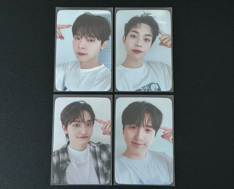 Lucy From Inside My Head's Howl Howl Photo Card Set