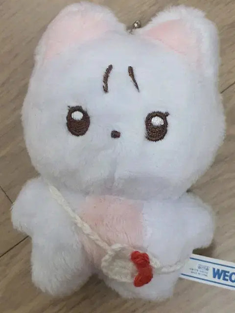 THE BOYZ New Doll Chani Nyan Transfer