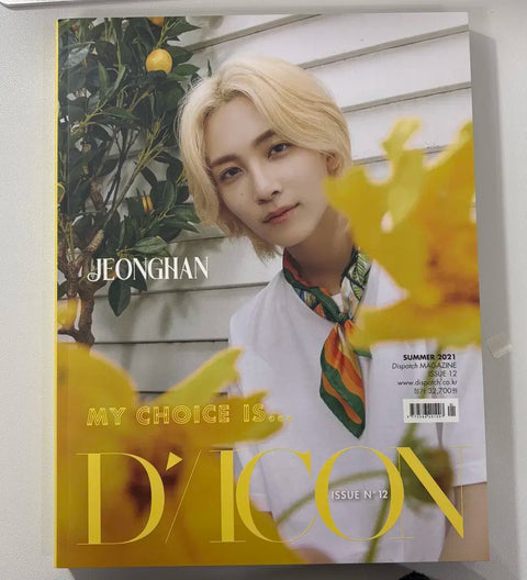 Seventeen DICON Photobook