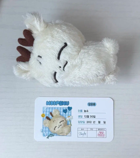 Seventeen Joshua doll NupShoo transfer/selling