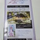 Sword Art Online Yuuki figure