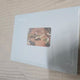 Unopened Snowdrop OST