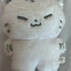 Seventeen Hoshi Hochi