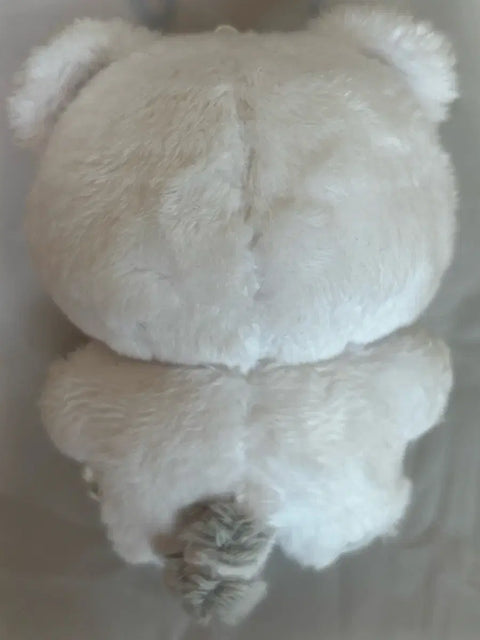 Seventeen Hoshi Hochi
