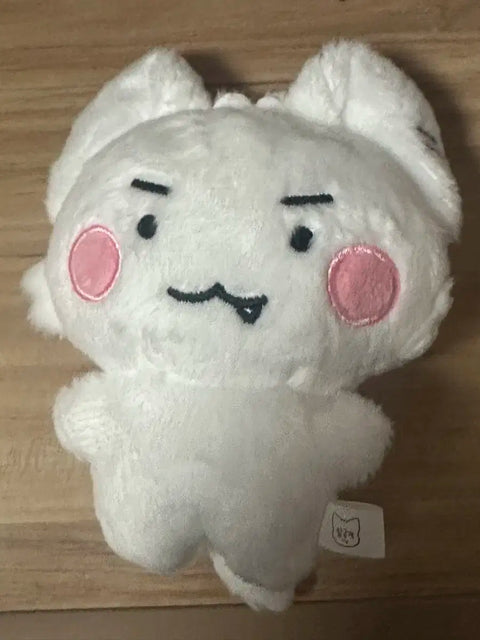PLAYVE unofficial goods Eunho doll Amgeungae