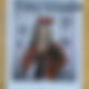TRI.BE Jia Christmas Signed Polar Polaroid TRIBE TRI.BE