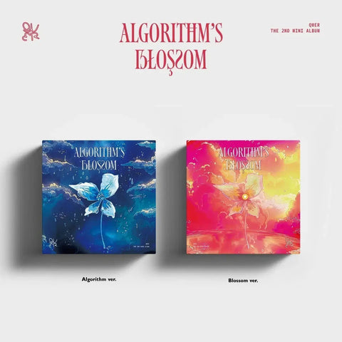 qwer Algorithm Blossom Sale