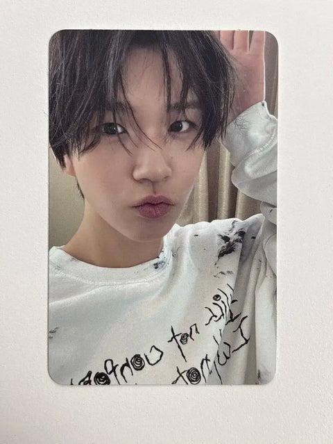 NCT Wish steady Jaehee Daeyoung photocard