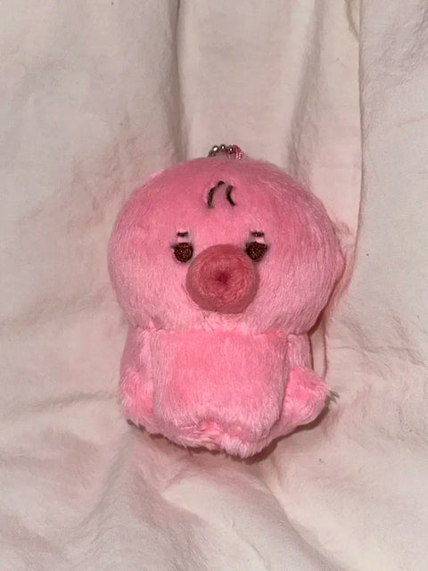 THE BOYZ Sunwoo doll Tteonko 8cm 2nd transfer/resale
