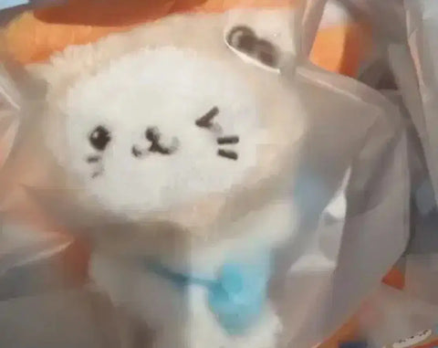 NCT Wish Yushi Bubble Cat Unopened
