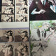 Selling FreeFrom photobooth prints at cost from a dream.