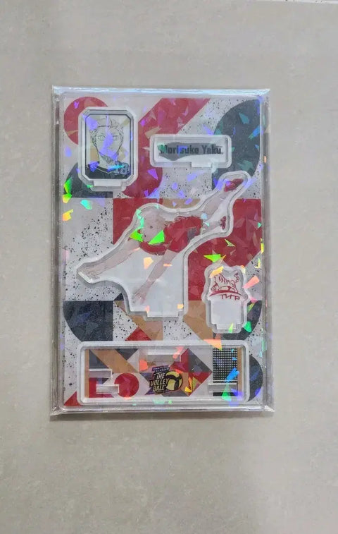 Haikyuu V League Diorama Yakushisha Morisuke