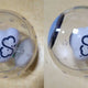 Ha Sung Woon Limited Edition Light Stick Jingle Head 2pcs Batch Transfer