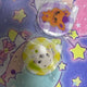 NCT Wish Color Pop-up Lenticular Pin Button Sioniung Ryongryong Sion Ryo Original Price Transfer
