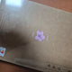 Unopened IU Flower Bookmark CD Player