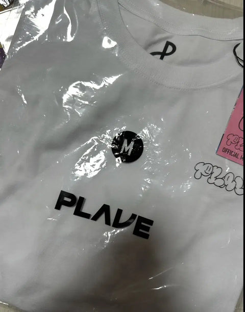 PLAYVE Why Why Why Samwhae T-shirt Big Photocard Post-it Bundle Transfer
