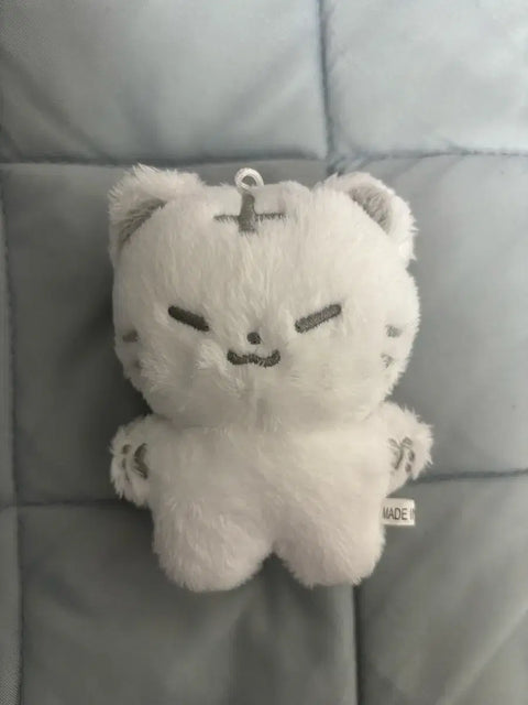 Seventeen Hoshi Hochi Transfer