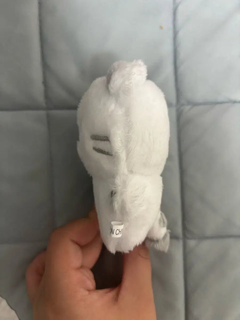 Seventeen Hoshi Hochi Transfer