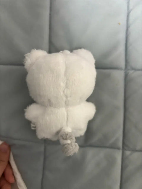 Seventeen Hoshi Hochi Transfer