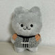 THE BOYZ Juyeon Jyunyang doll including knitted clothes