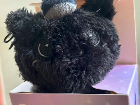 Wish Doll Wit Boo Boo Kuri Black Dark Secret NCT Wish Pop-up Riku Doll
