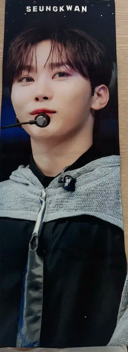 Seventeen Seungkwan Slogan