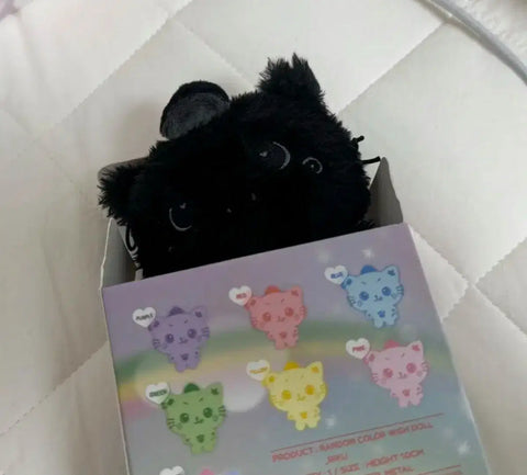 Wish Wishdoll Kuri Secret