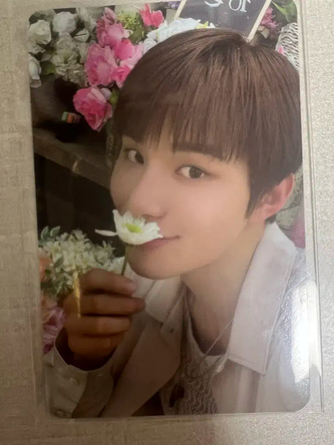 Perfume Jungwoo