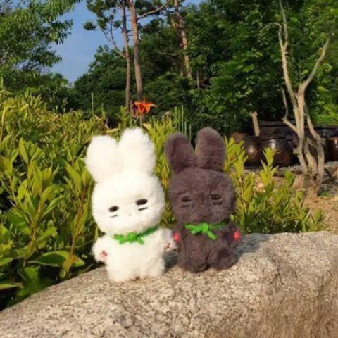 Kongtteokjjing, Black Sesamejjing, Unopened Transfer, SHINee Onew Doll