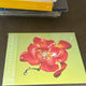 Aimyon Ai no Hana CD Unopened