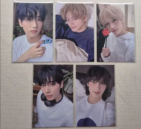TXT Sanctuary Weverse Shop Benefit Photocards - Selling all together