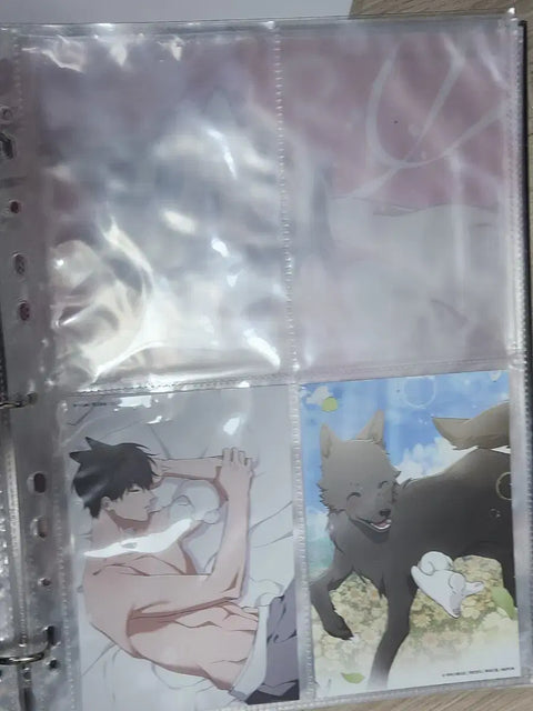 Selling Kang Gun-ma Collect Binder below cost!
