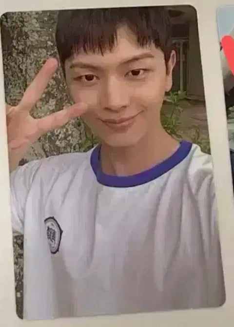 Selling Yook Sung-jae photo cards!