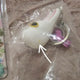 Torongi Plush Padding Keyring Photocard Holder Bundle