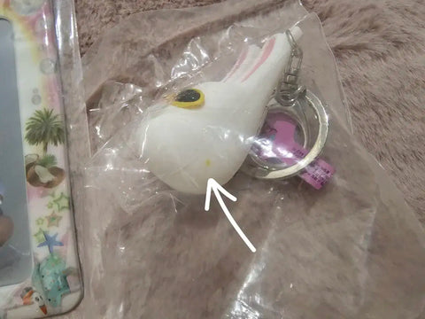 Torongi Plush Padding Keyring Photocard Holder Bundle